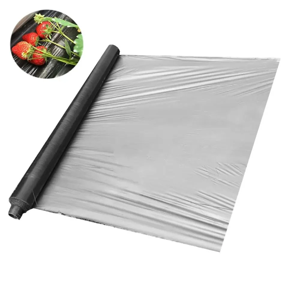 150micron Light Transmittance: 15% or 25% Black Transparent Livestock Grid Film Woven Greenhouse Film Transparent Grid Film for Livestock