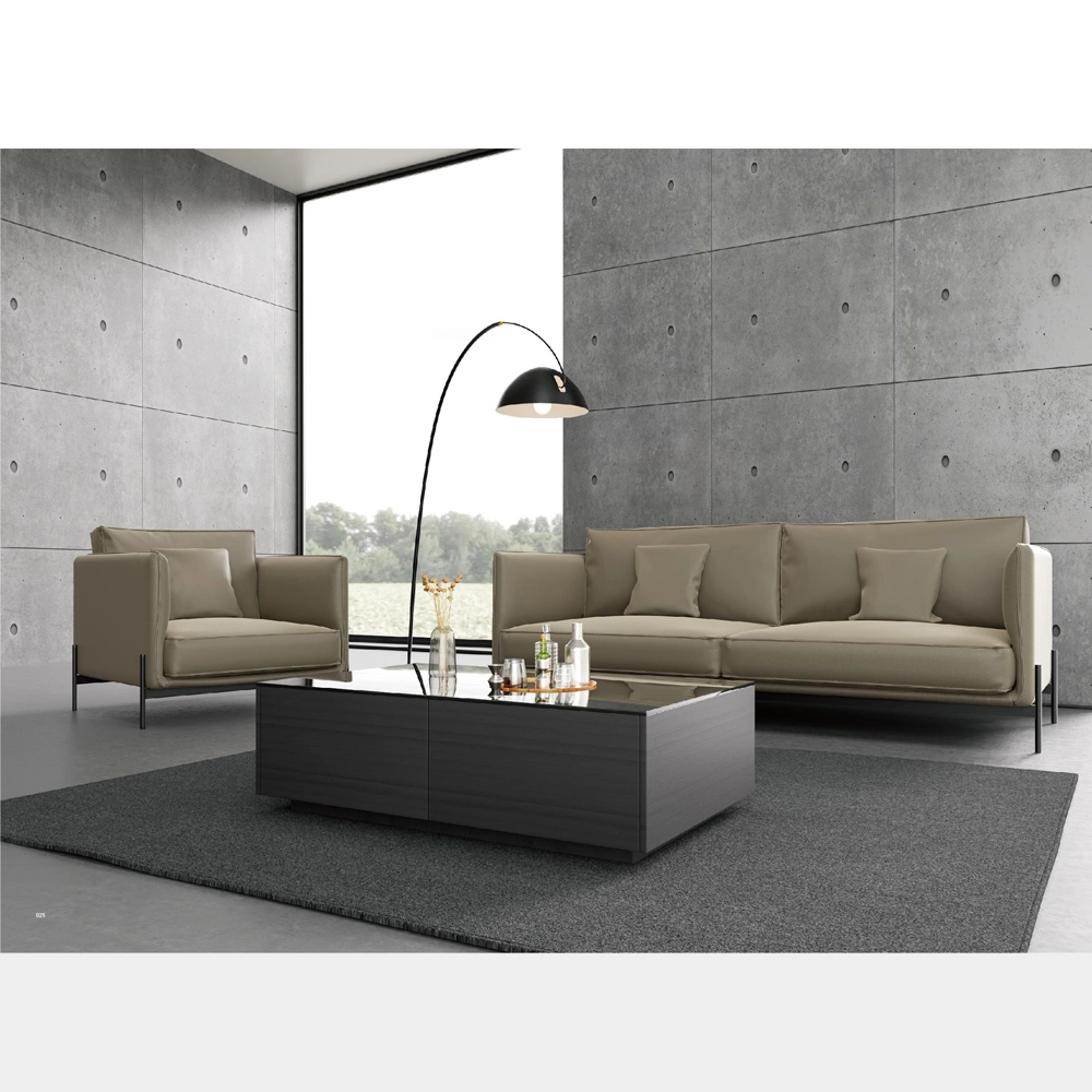 Fashion Leisure Office Fabric Sofa with Metal Leg (HYZC-S001)