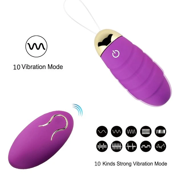 Premium Love Egg Vibrator Remote Control USB Rechargeable Female Adult Sex Toys