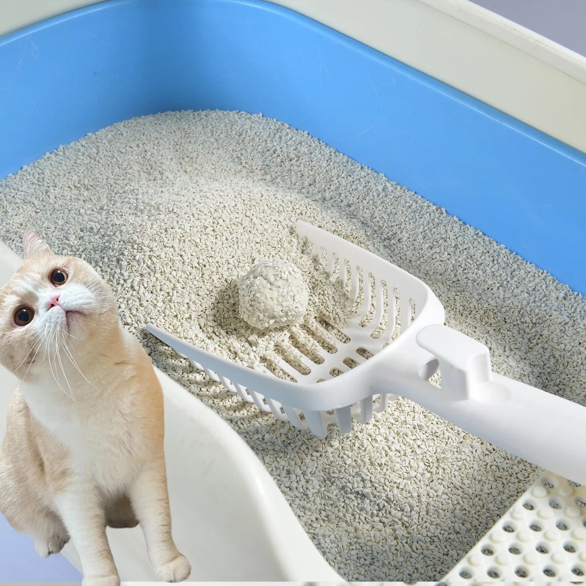 L'agglutination rapidement naturelles et de tofu hautement absorbant la litière pour chat fabricant