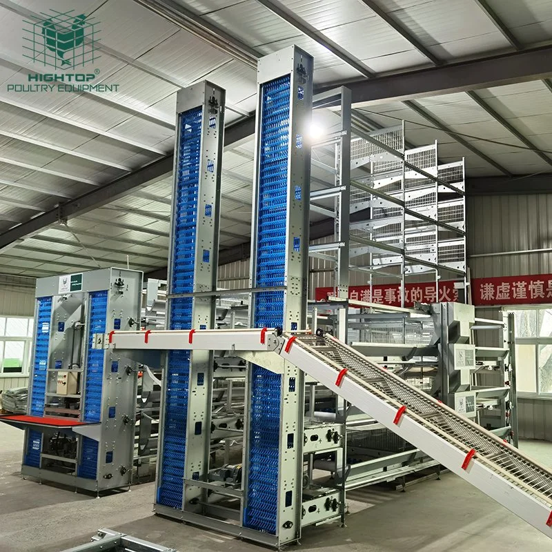 Hot DIP Galvanized Steel Layer Chicken Battery Cage with Automatic Manure Cleaning System