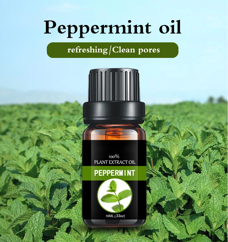 Aceite de menta 100% puro con muestra gratuita aceite esencial Nuevo Bulk para el verano caliente enfriar abajo rociador Baño de enfriamiento Peppermint Aceite