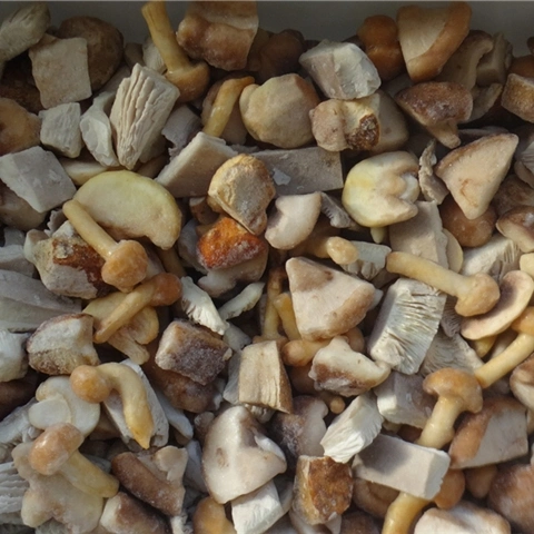 Canned Mixed Mushrooms with High quality/High cost performance  Canned Food Edible Fungus