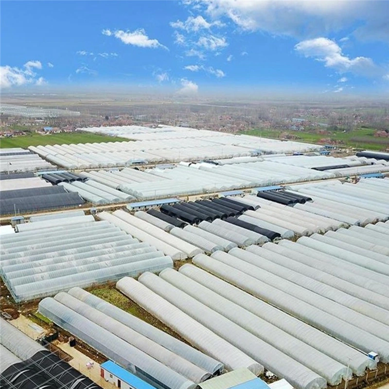 Agricultural Single-Span Tunnel Type Film Greenhouse with Light Deprivation System for Medical Plants