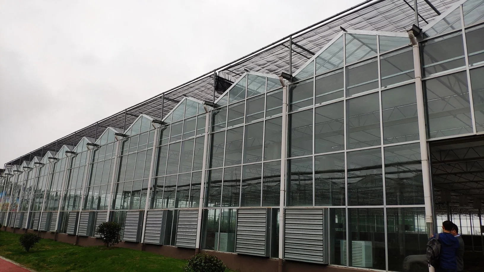 Estufa de vidro altamente eficiente com sistema de crescimento hidropônico