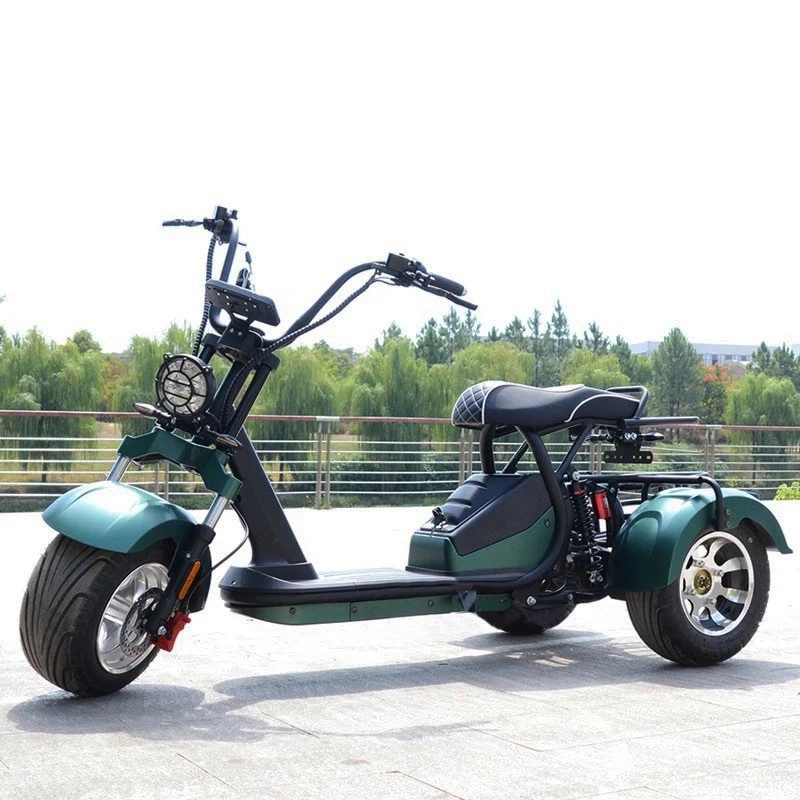 Electric City Bike Scooter 2*60V 20ah Battery Electric Scooters Motorcycle 3 Wheel Electric Tricycle Chopper E Scooter