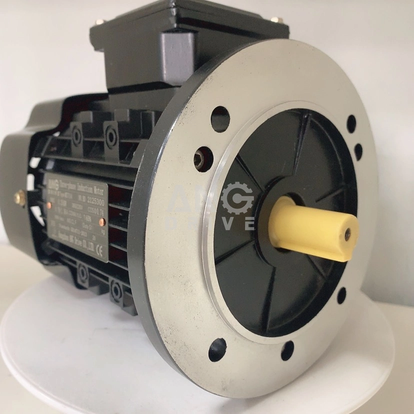 GOST Rusia Ucrania ANP 3 tres fases AC Electromotor Precio Motor eléctrico de inducción Motor eléctrico