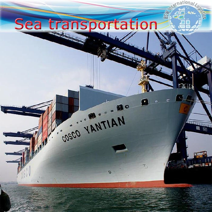 International Ocean Transportation Forwarding by Sea DDP Shipping From Shenzhen Guangzhou to Batam Indonesia Asia