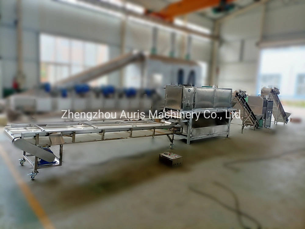 High Capacity Automatic Garlic Processing Line Garlic Bulbs Dividing Garlic Cloves Peeling Machine