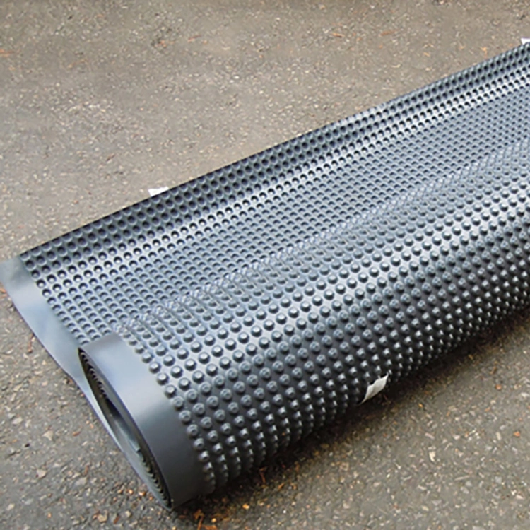 Drain Board Dimple Plastic Drainage Sheet HDPE Drain Membrane