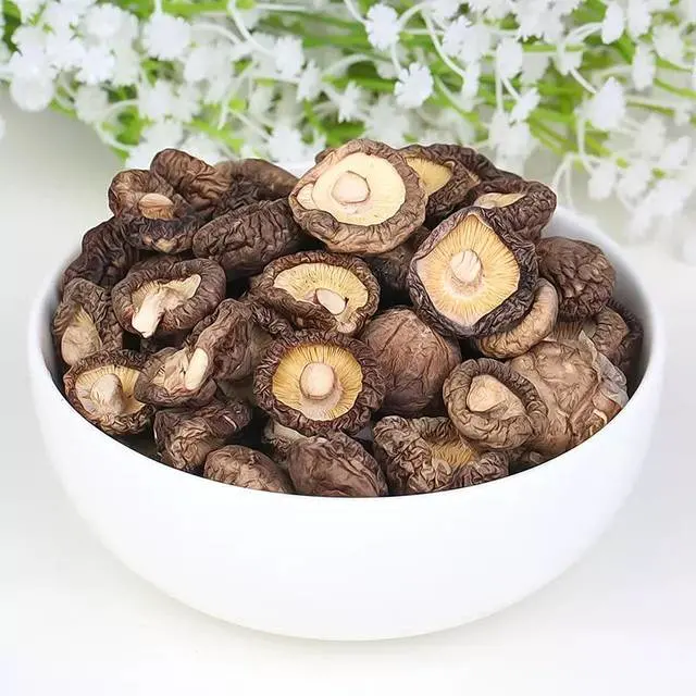 Getrockneter Shiitake Pilz für Hühnersuppe in erstklassiger Qualität