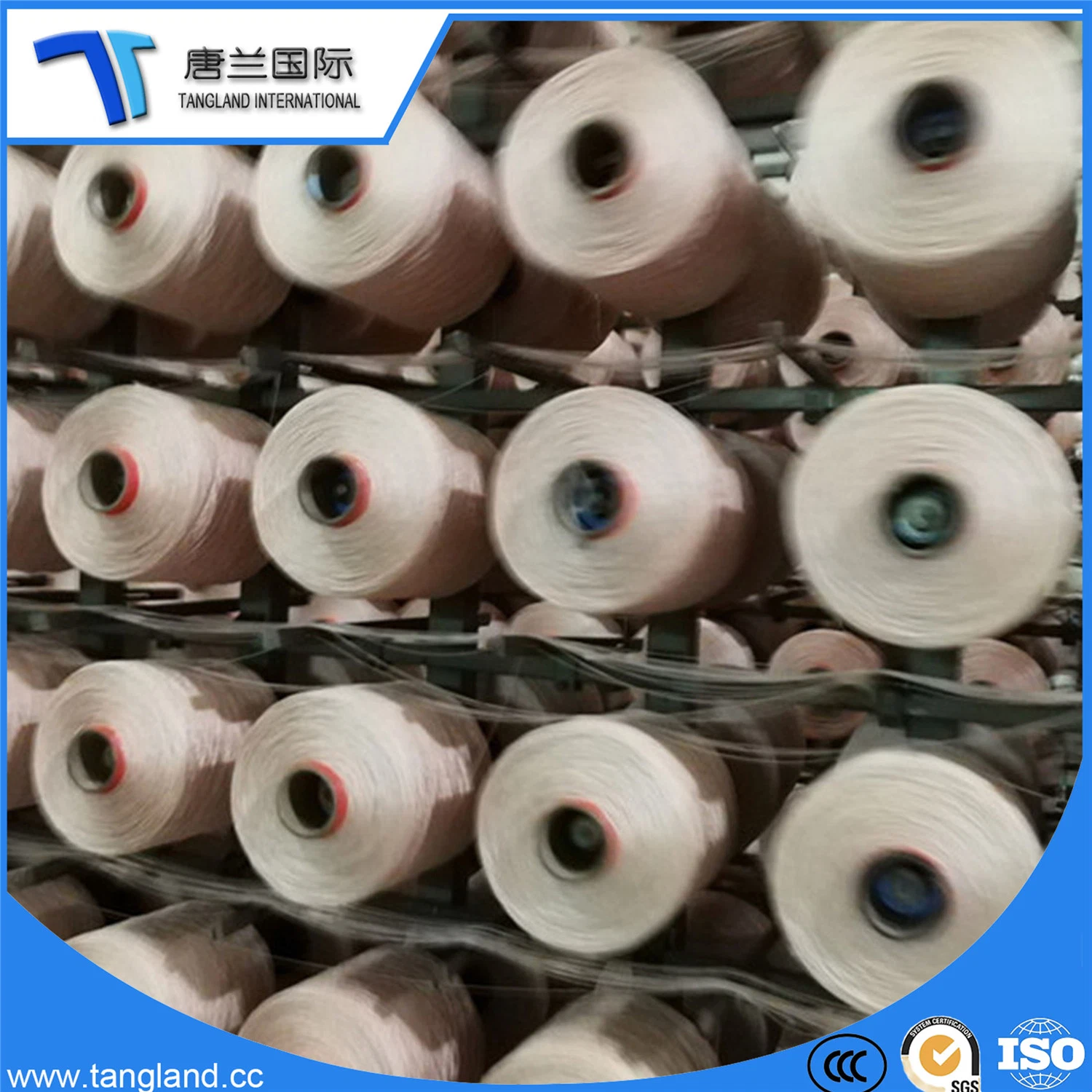 Polyamide Yarn PA6 Nylon6 Industrial Nylon Tread Yarns/Color Yarn