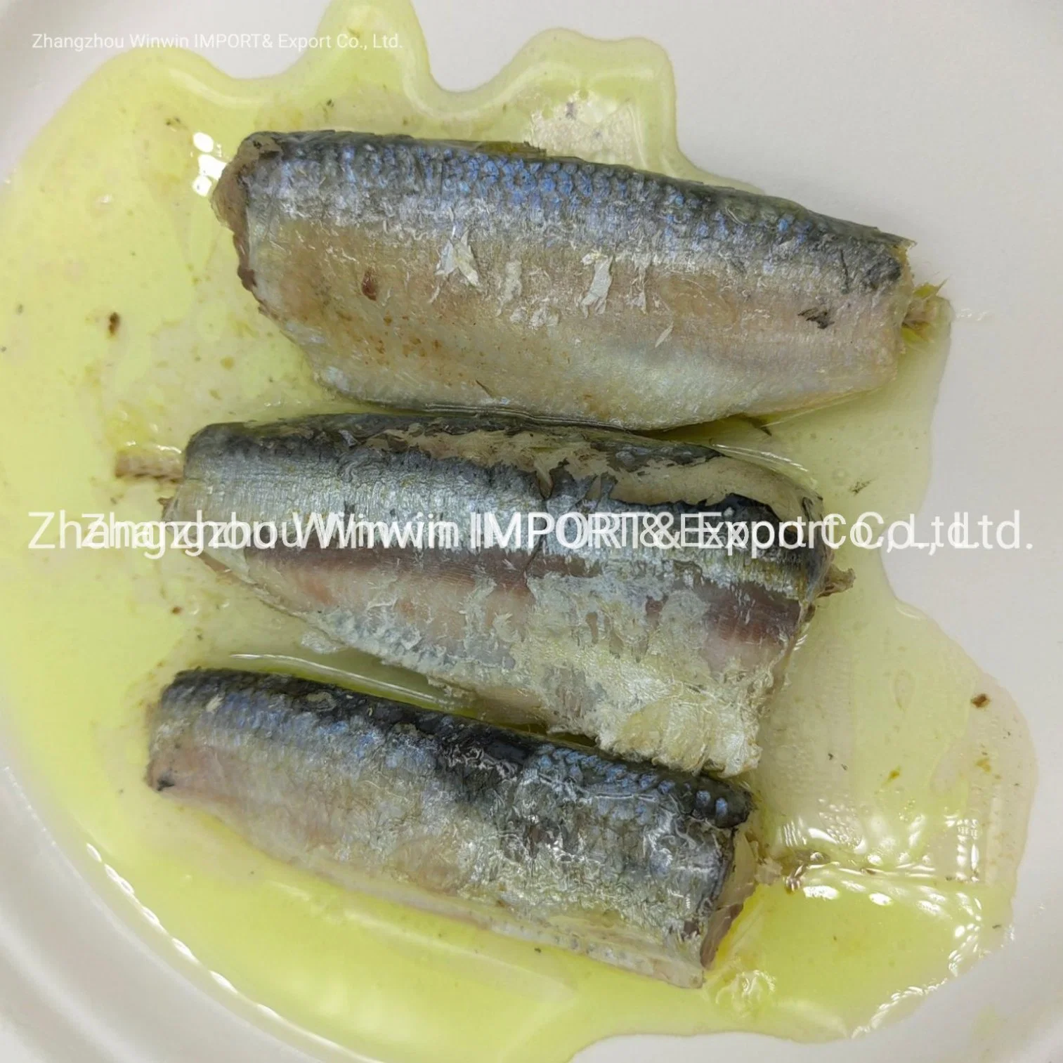 Las conservas de sardinas en aceite de plana 125g