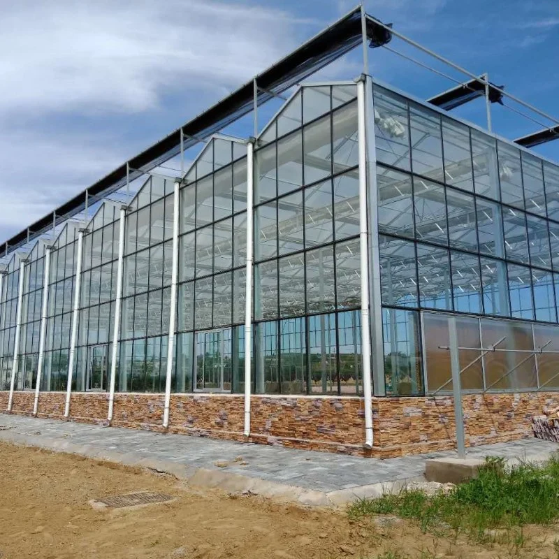 Agricultural Multi-Span Glass Greenhouse with External/Internal Shading System