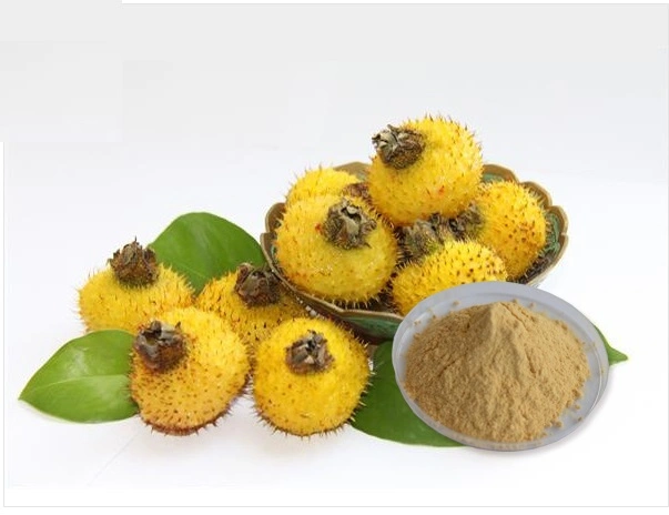 Rosa Roxburghii Extract Cili Fruit Extract Rosa Roxburghii Tratt