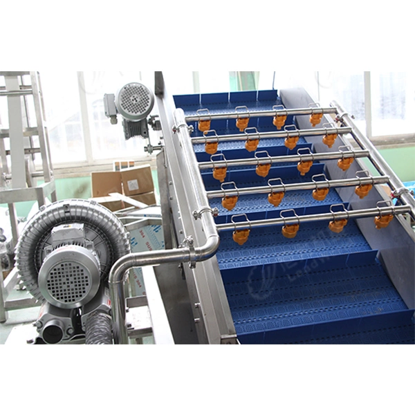 Machine Fruit and Vegetable Bubble Washing Root Fruit Ginger Turnip Lotus Root Carrot Cleaning Machinery