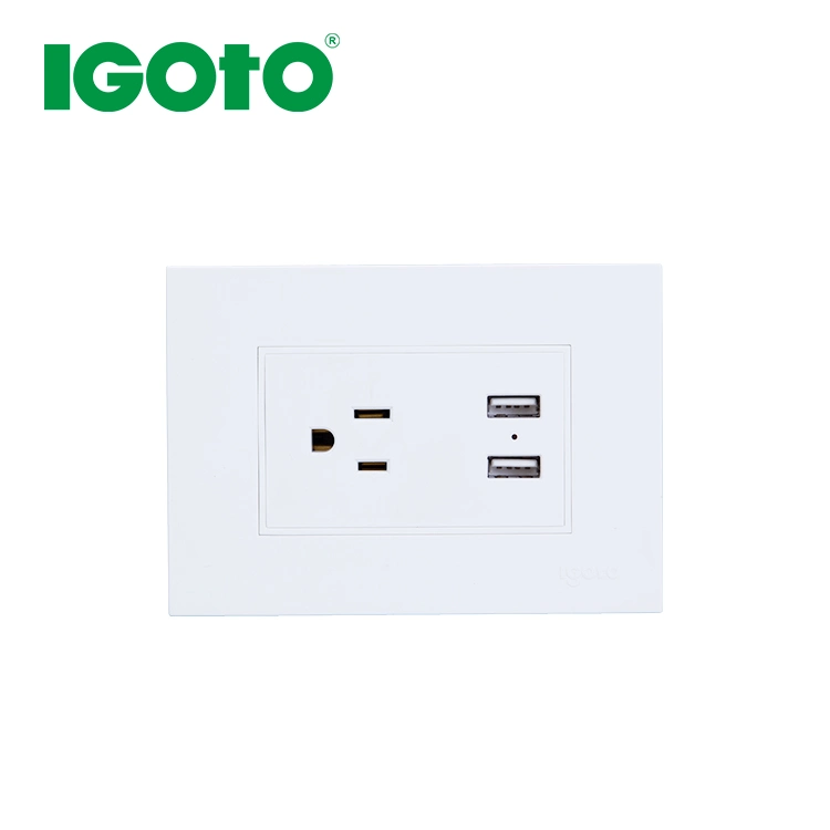 Popular Item Us Standard Electrical Light Wall Switches and Power USB Socket Outlet Interruptores Y Tomacorriente Manufacturer