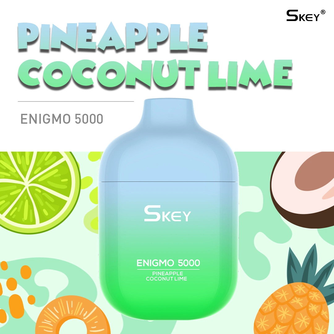 Comercio al por mayor barato Vape Skey Enigmo Wape desechables