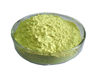 طبيعي 10%~98% HPLC UV Quercetin Powder 117-39-5 مستخرج Sophora Japonica