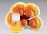 High Grade Reishi Spore Oil Softgel