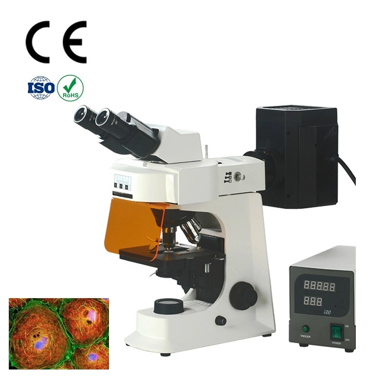 China Top Fluorescence Microscope Manufacturer with Best Price