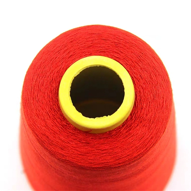 Your First Choice Double Knitting Wool Multicolor Pagoda Sewing Thread