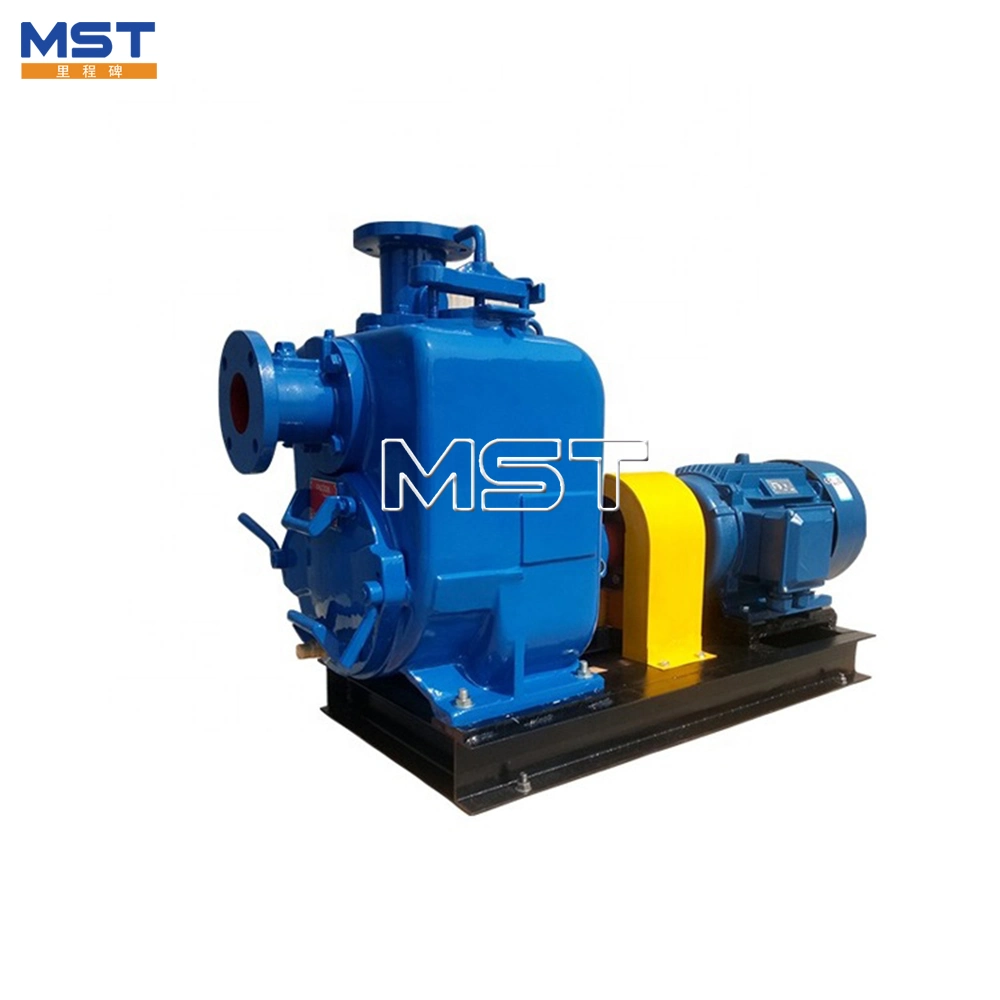 Automatic Electric Water Pump Self-Priming Pump Farm Disel Water Pump High Lift Clean Water Pump