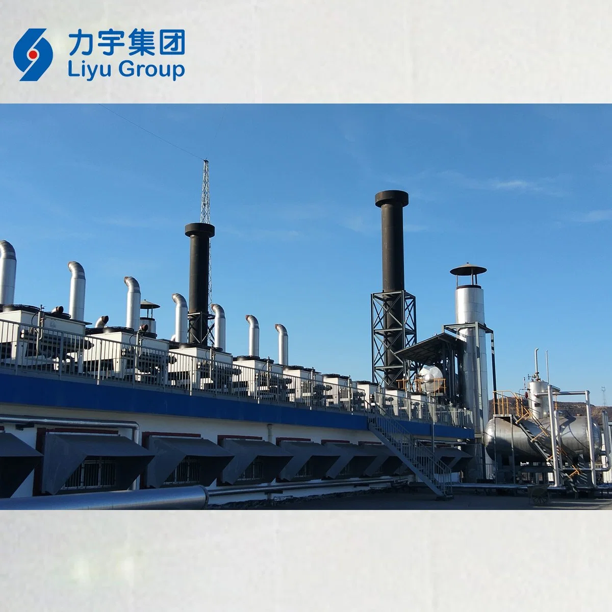 Liyu 800kw Plant/Containerized/Silent High Voltage Gas-Fired Internal Combustion Engine Biomass Gas Energy Generator Set