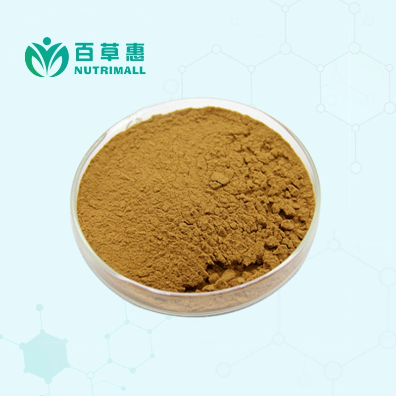 4: 1 10: 1 Hops Extract Powder From 13 Years Professional Factory