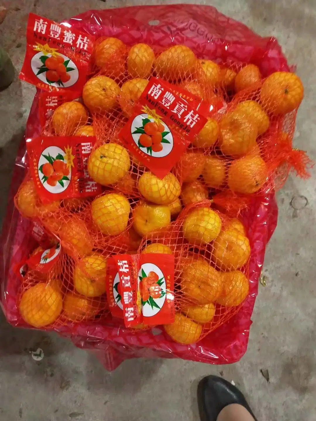 China Mandarina fresca y dulce de calidad Premium Wogan mandarín