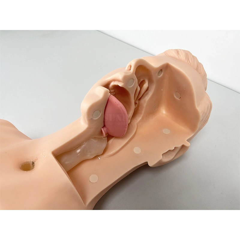 Sy-N056 Medical Suction Catheter Skill Training Model Manikin for Nurse Training