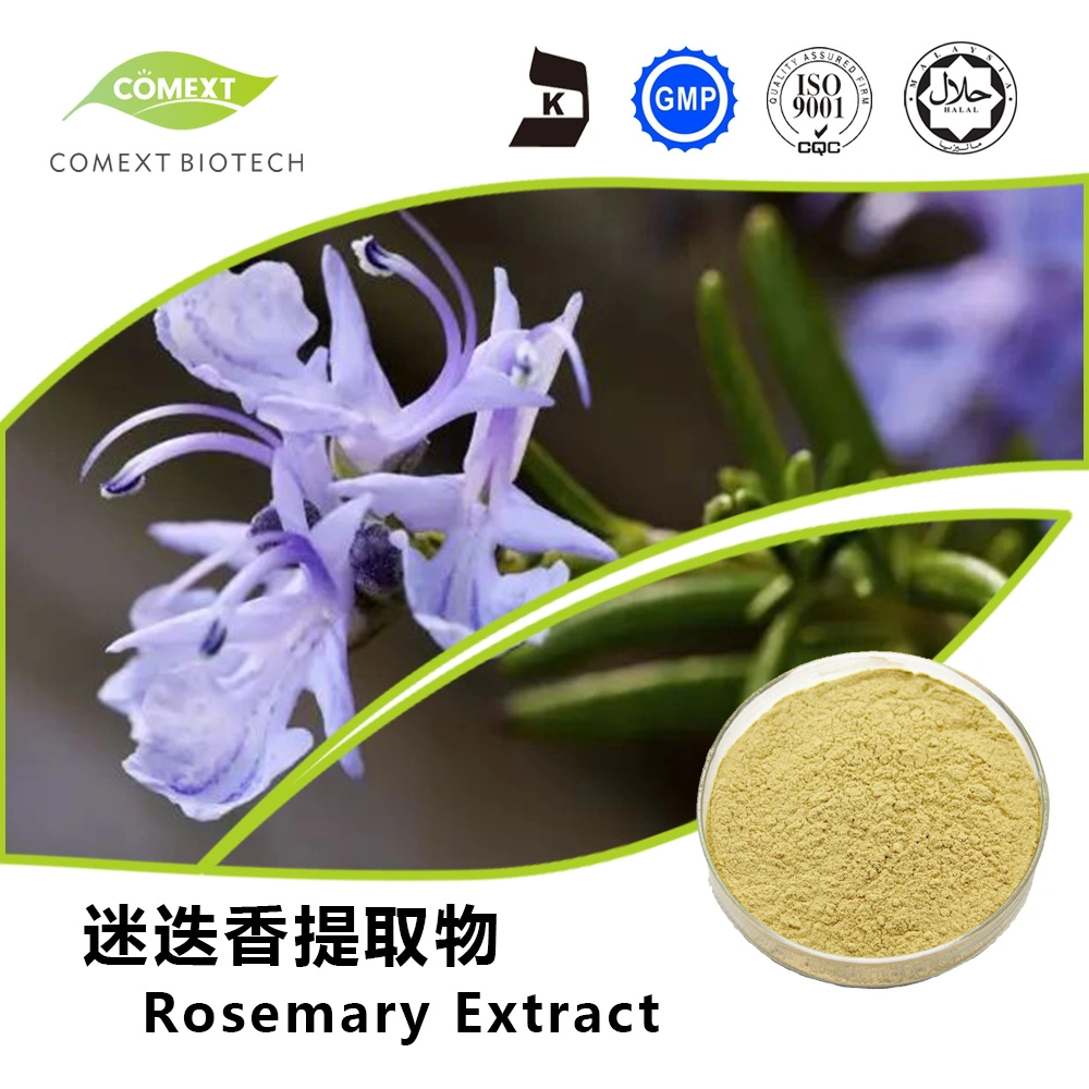 Comext China Manufacturer Wholesale/Supplier Food Grade Natural Plant Herb Extract Carnosic Acid Powder Inventory USA Warehouse Rosemary Extract