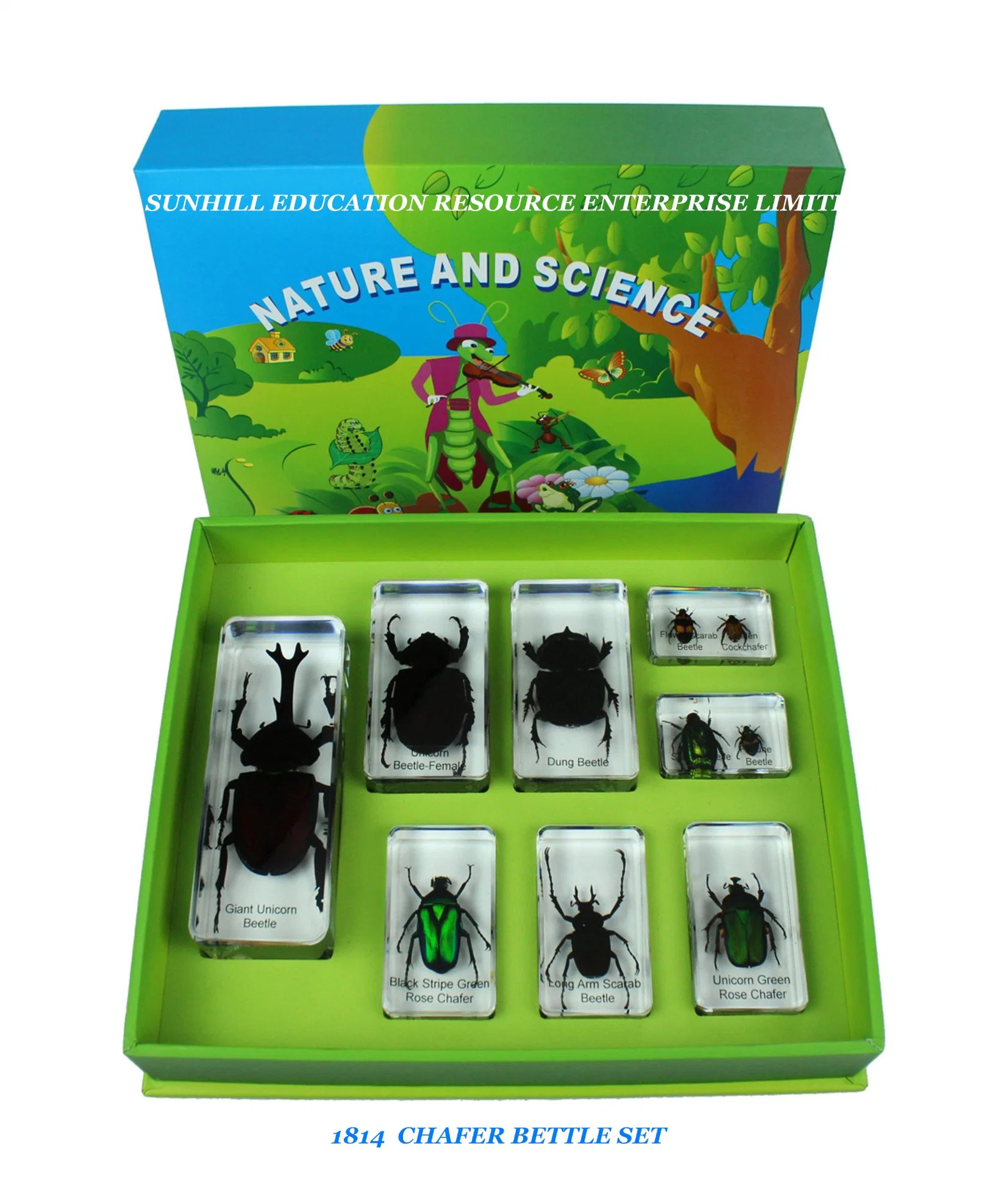 Children Toy, Nursery School Educationa Science Learning Toy, Kids Classroom Educationteaching Specimen for Kindergarten and Preschool