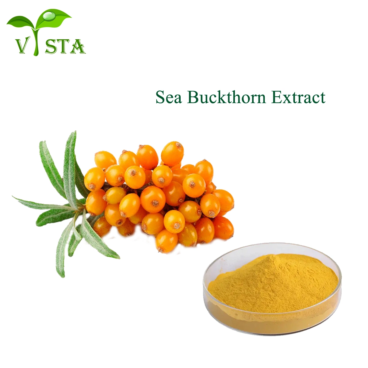 Suplemento de saúde grau farmacêutico Natural Seabuckthorn extracto de fruta pó Sea-Buckthorn Extrato de Seabuckthorn