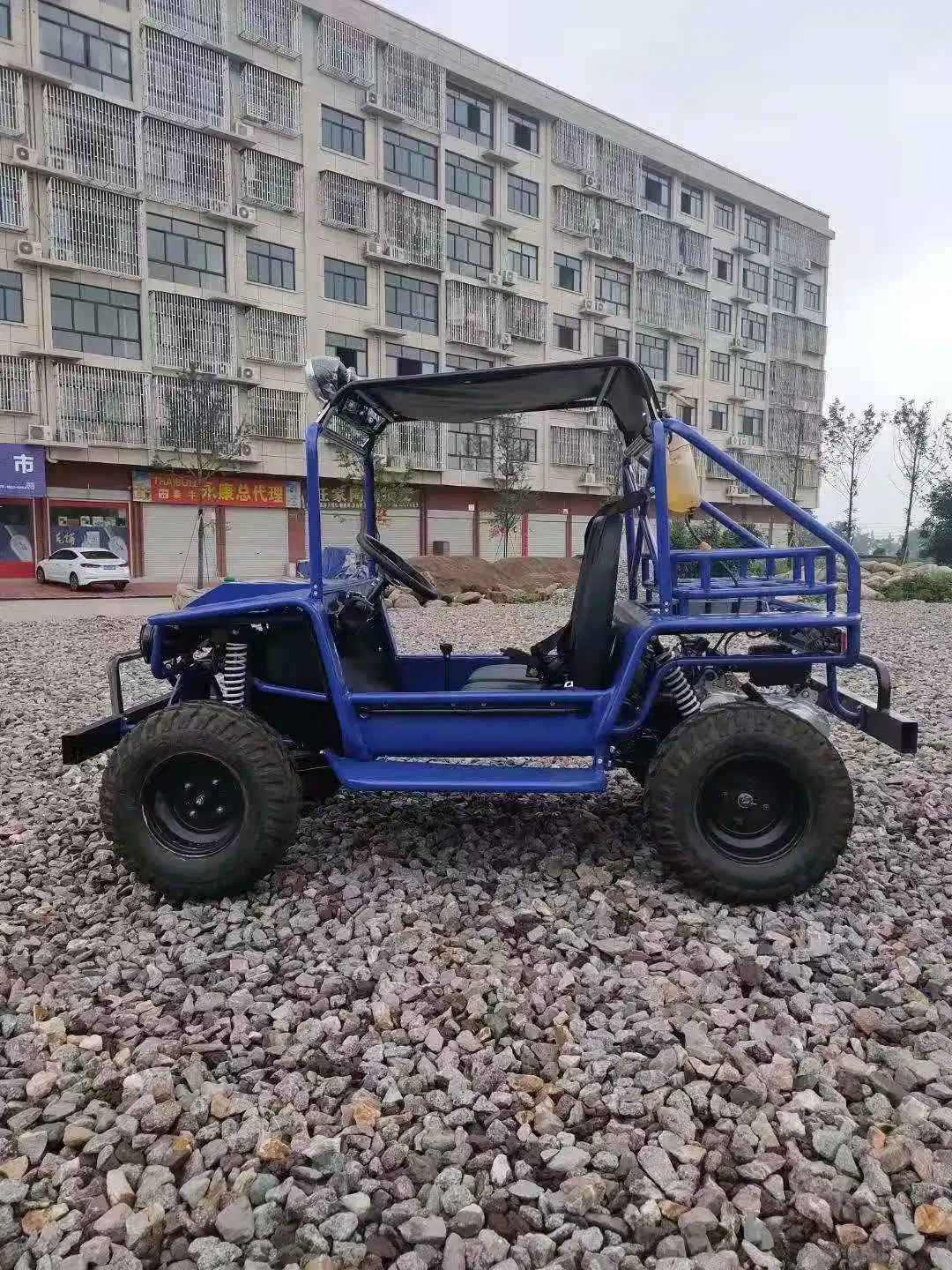 Suyang Factory Price Premium Flectric Mini Car for Sale