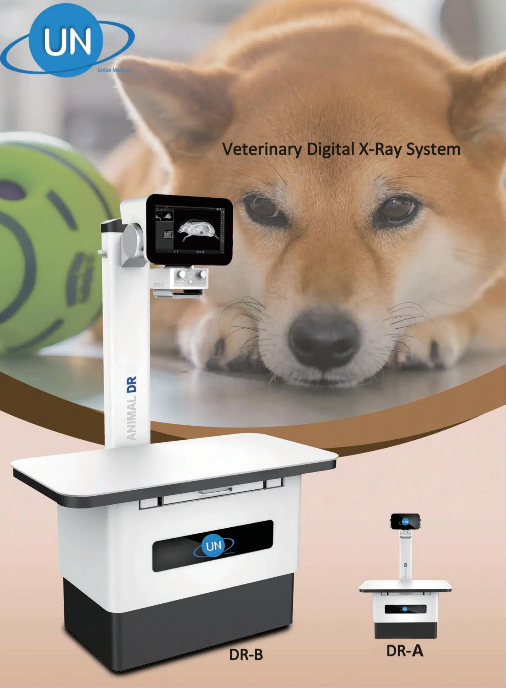 Veterinärklinik Röntgengeräte Digital System Röntgenmaschine Vet Röntgen