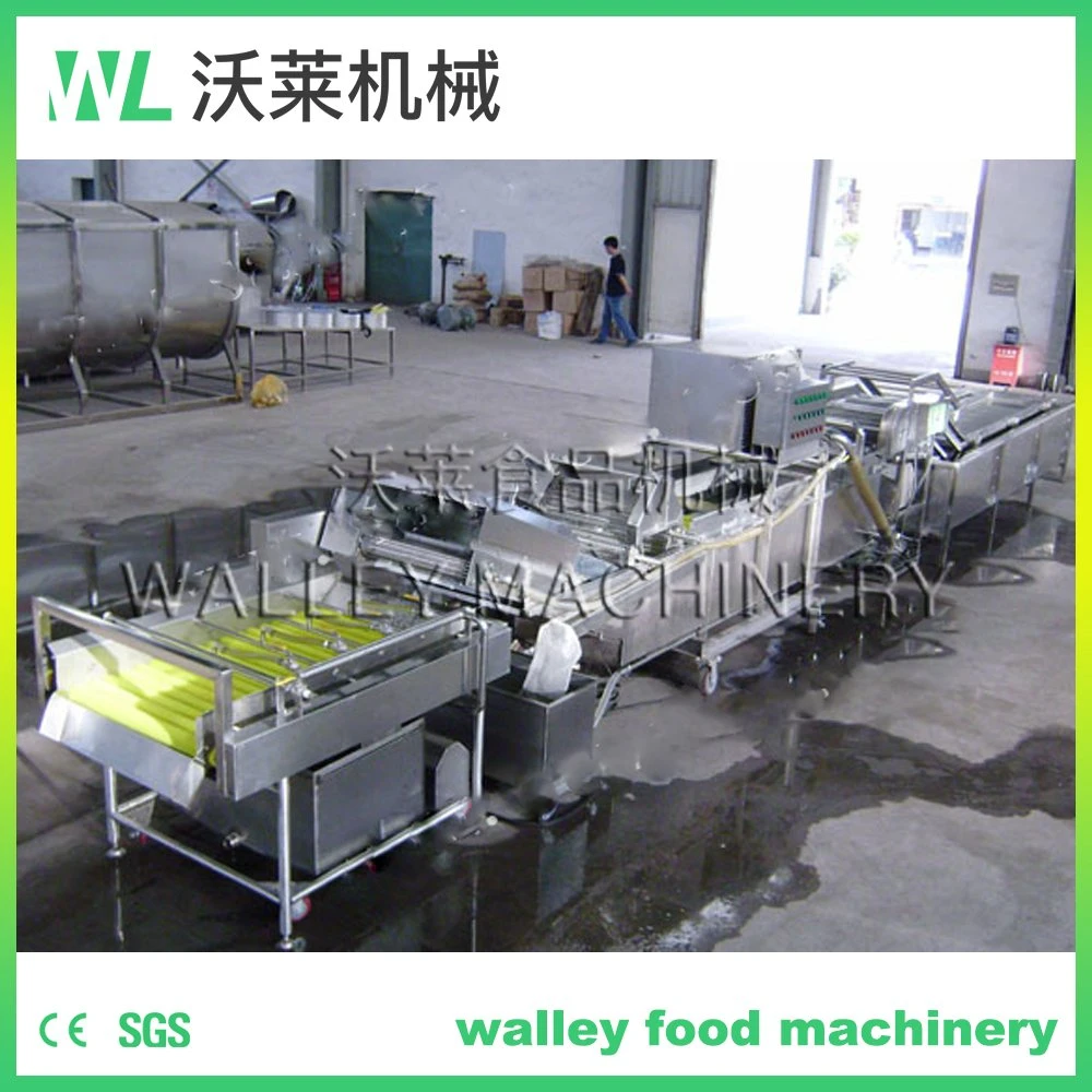 High Rebuy China Agricultural Industry Roller Brush Cleaning Machine