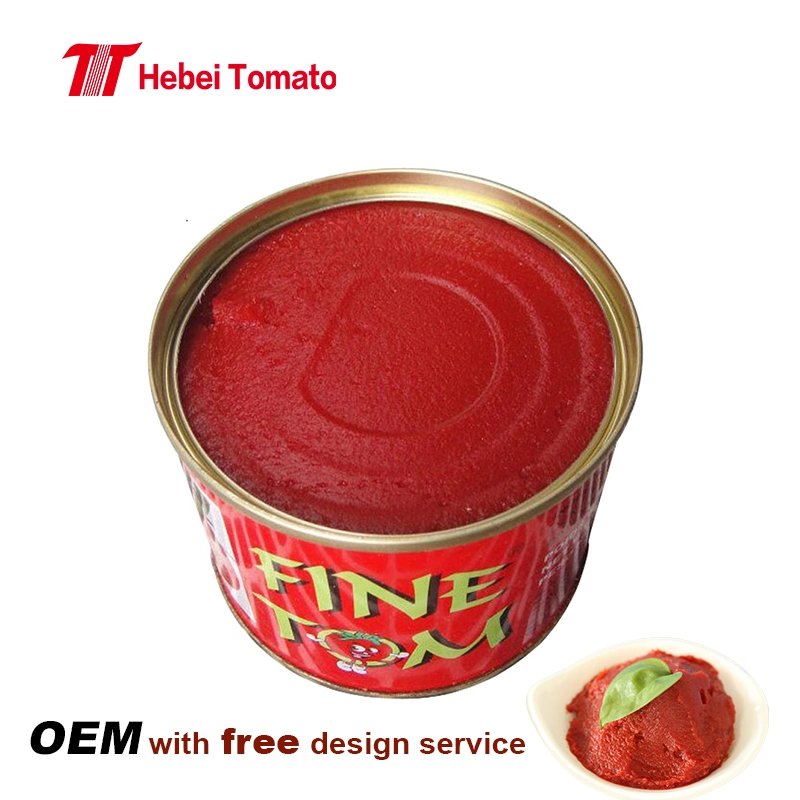 Tomato Paste Factory Bulk Tomato Paste Manufacturer in Sizes 70g 210g 400g 800g 2200g