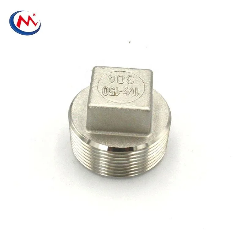 Manufacturer Stainless Steel 304 316 Pipe Fitting Casting Square Plug