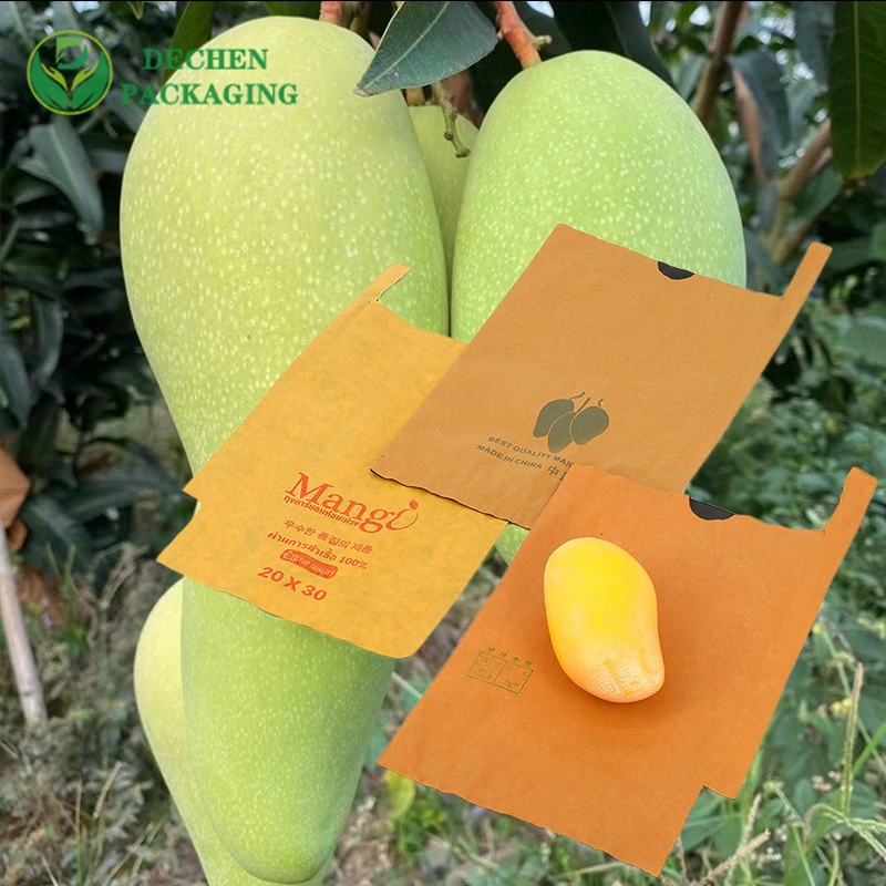 Growing Bagging Bag Protection Fruit Paper Mango Bags for Agricultural Planting