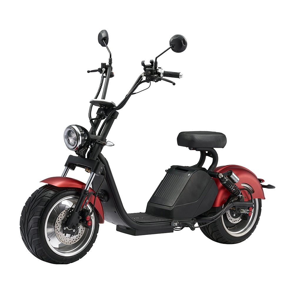 Scooter eléctrico con batería de litio extraíble EEC motocicleta