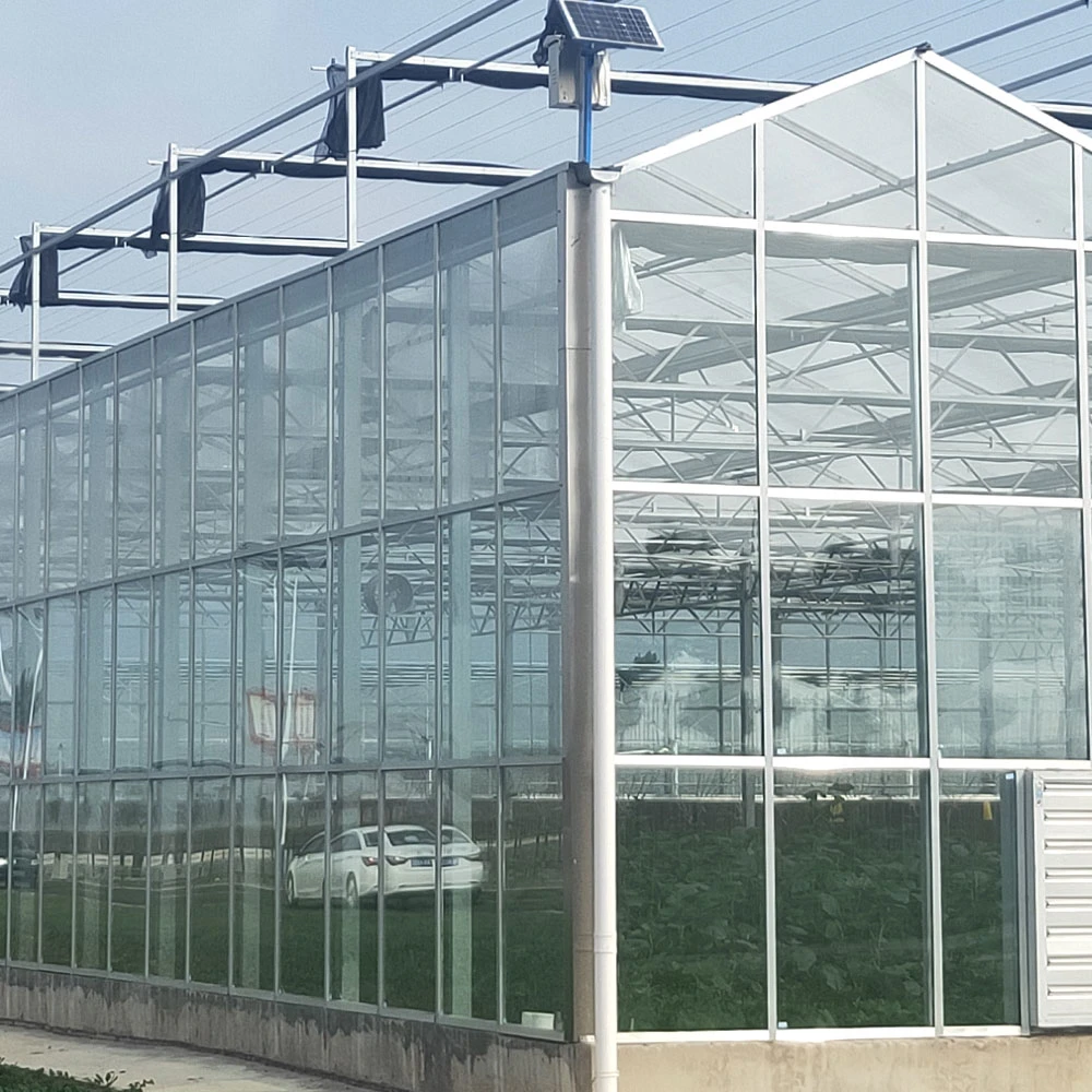 Landwirtschaft Moderne Sternenhimmel Zimmer Multi-Span Glas Gewächshaus für Kirsche/Tomate/Pfeffer/Aubergine mit Hydrokultur-/Heiz-/Kühlsystem