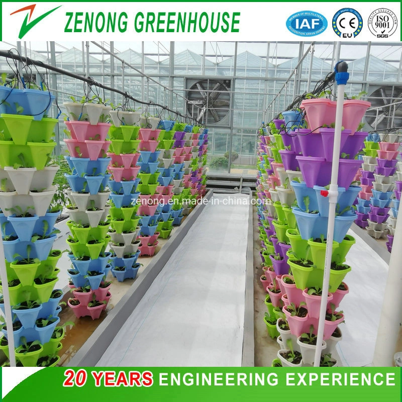 Greenhouse Soilless Cultivation Hydroponics System with Substrate for Vertical Planting for Strawberry/Leafy Vegetables