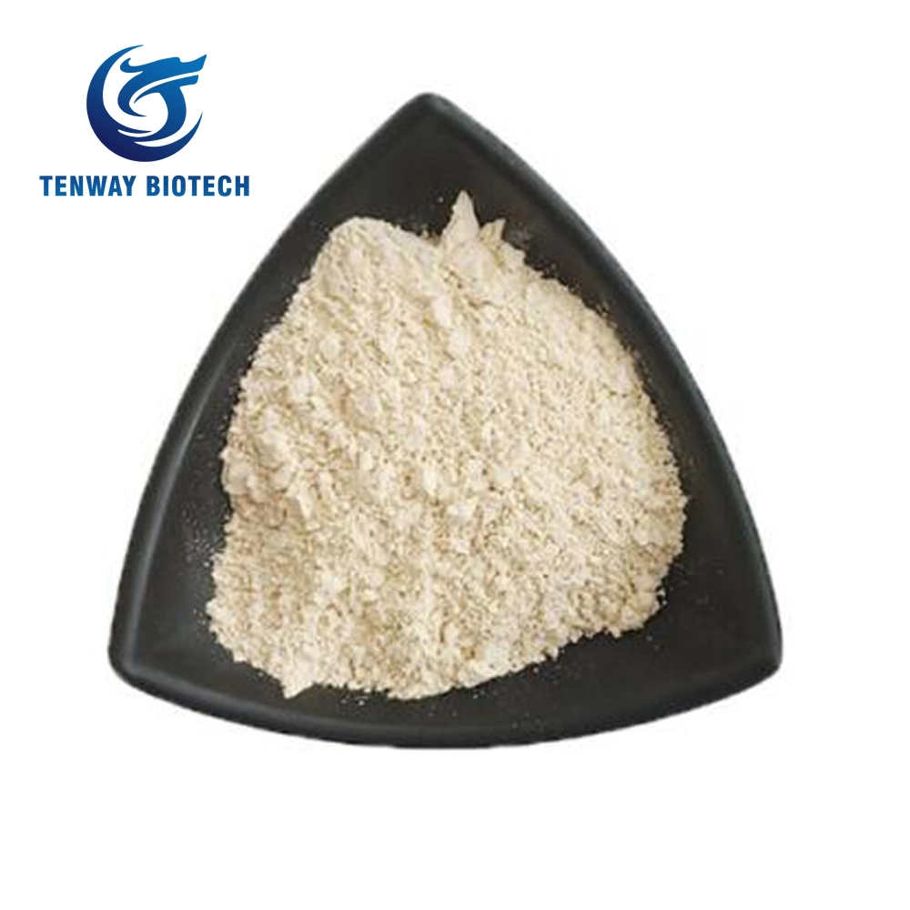 China Supplier Food Ingredient/Food Additive Hydrolyzed Vegetable Protein/Hvp Powder at Low Price