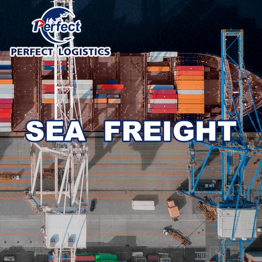 DDP Freight Service China to Saudi Arabia Door to Door Shipping Sea Freight