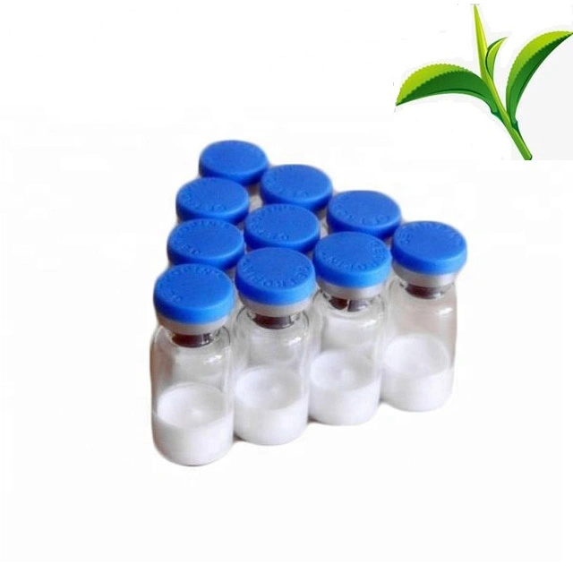 Hot Selling High quality/High cost performance  L-Theanine CAS 3081-61-6 with Competitive Price