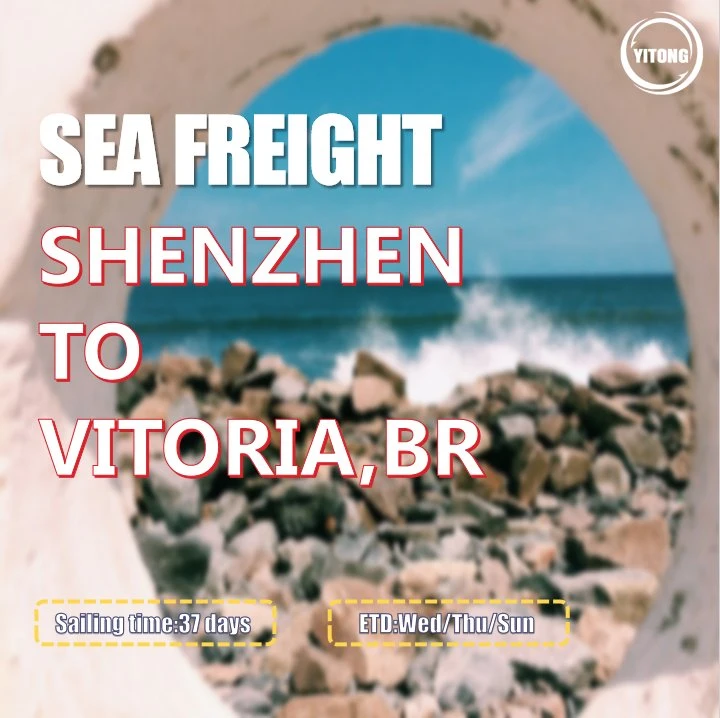 Shenzhen Cargo Ship Price Shipping to Vitoria Brazil