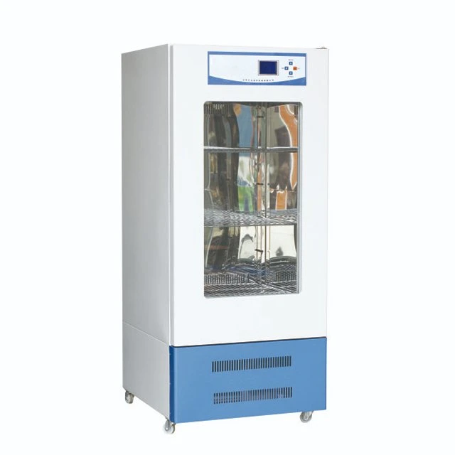 Laboratory Vacuum Drying Oven with Factory Price&#160;