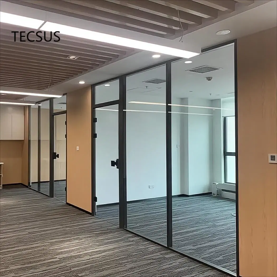 Manufacturer Price Office Glass Partition Wall for Room Devider with ISO (TECSUS 80 series)