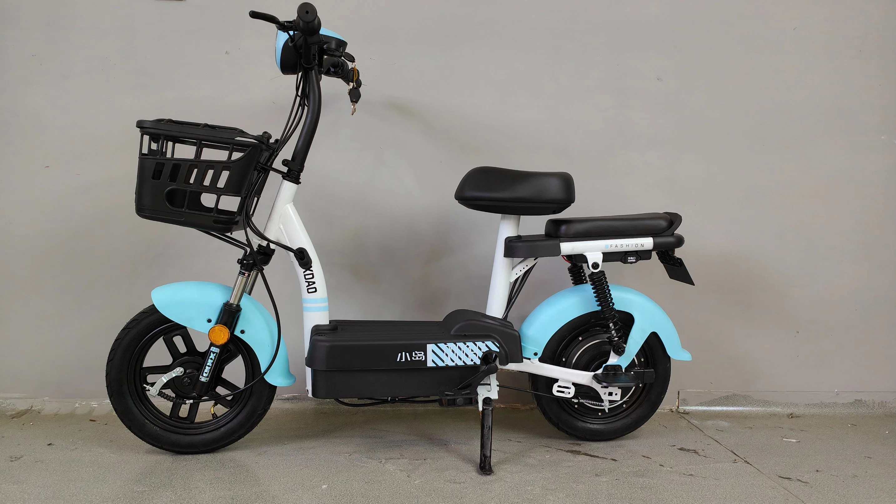 48V12ah Simple Electric Bicycle with China Xiaodao